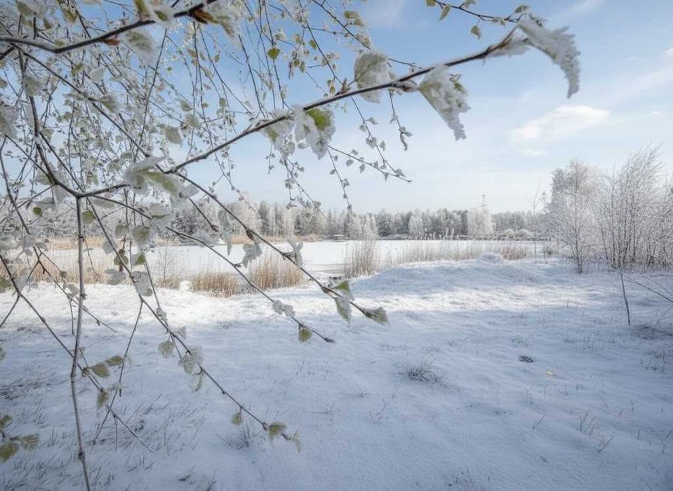 Продаж ділянки 25сот під забудову. Поряд озеро. Біля лісосмуги. ID:405