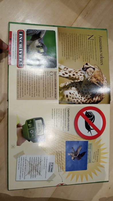 2 Livros Guia do explorador "Animais espantosos"; "Os dinossauros...".