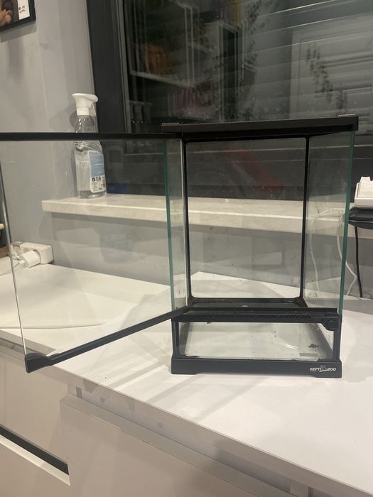 Terarium dla gekona patyczaka i innych zwierzaków