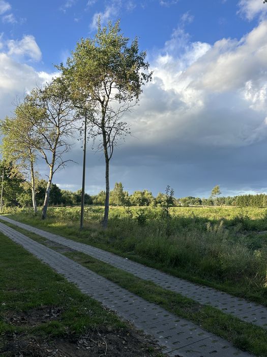 Dzialka pod zabudowe - Widok 5