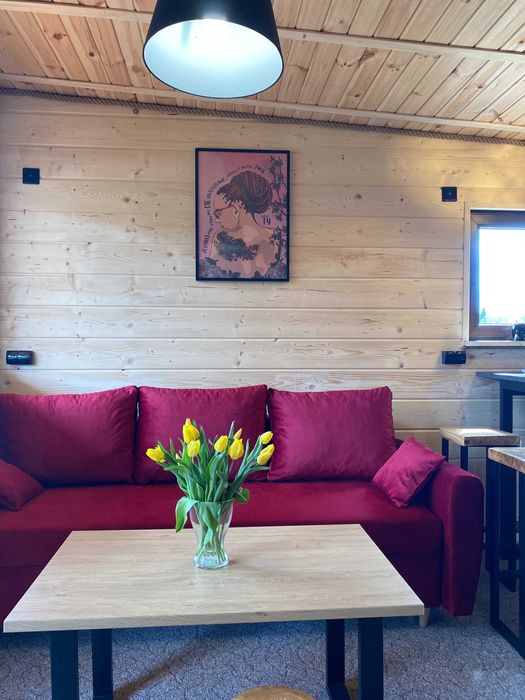 *Góry Świętokrzyskie*2-4 osoby*Wfi*Całoroczny*Bałtów**Sylwestra