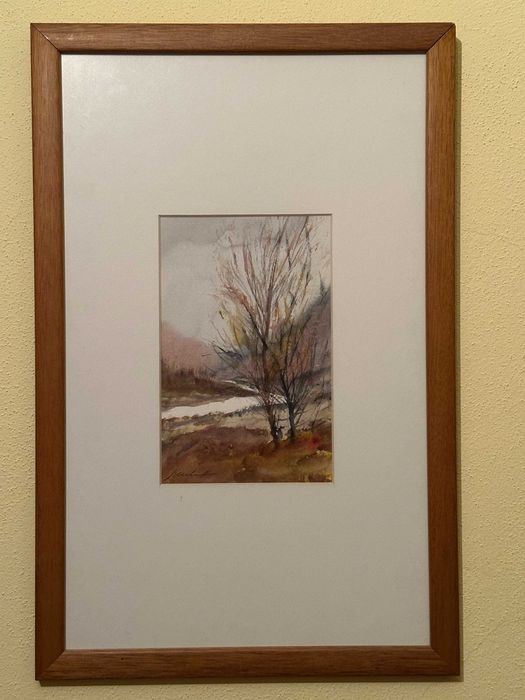 Conjunto de aguarelas Xavier Galiza