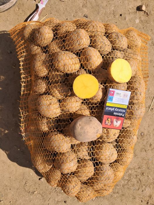 Ziemniaki żółte oraz inne warzywa zimowe z dowozem