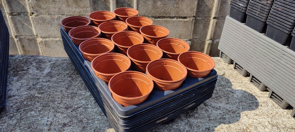 Vasos de plástico 9cm ler anúncio