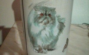 Lata Royal Canin - Gatos - Limited Edition - ÚLTIMOS DIAS+ Livro