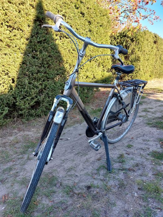 Rower Gazelle męski