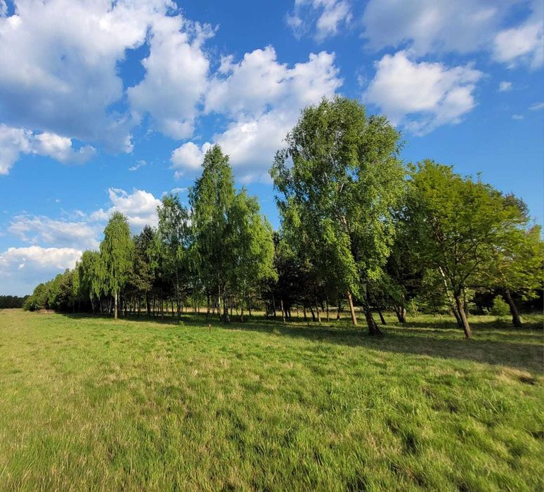 DziałkI budowlane Konary ul. BRZOZOWA / 1500 m² // Żelazowa Wola // Sochaczew // - Widok 3