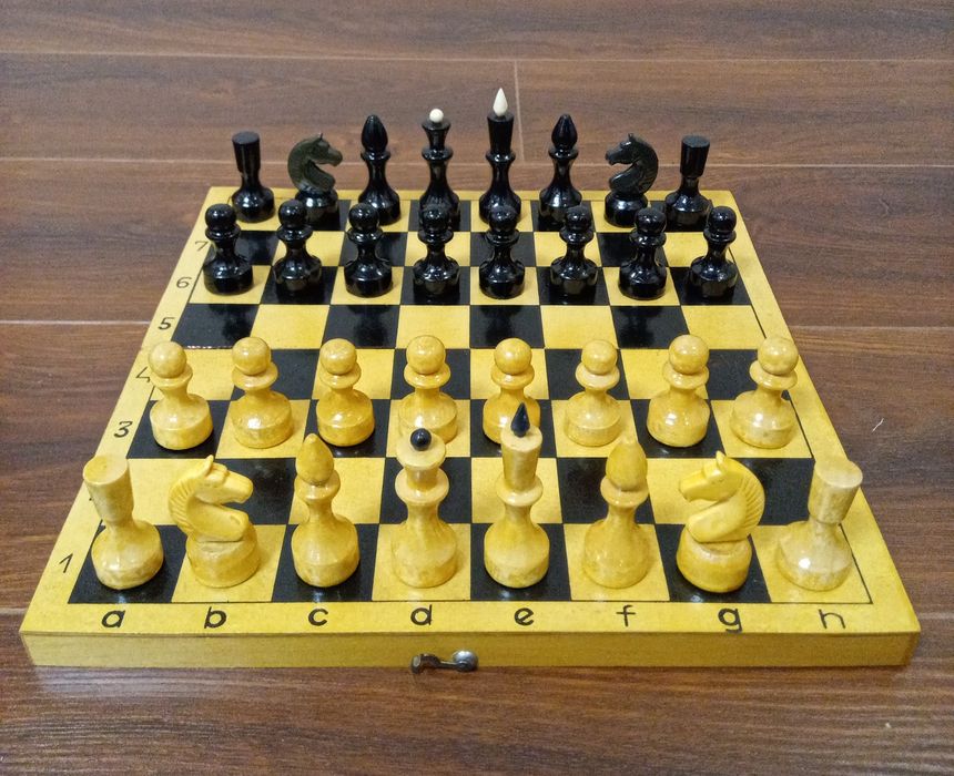 Шахмати, шахи СССР- Нові 1973 р.