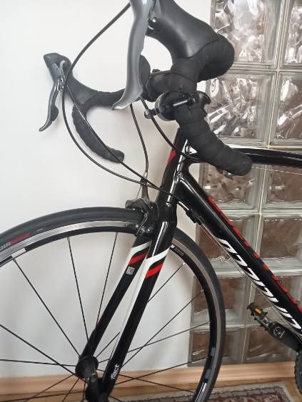 Rower szosowy / kolarka / karbon / Specjalized