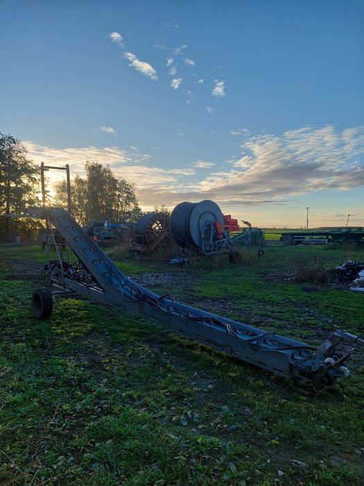 Podajnik taśmociąg do zbioru warzyw kapusty Łuczak