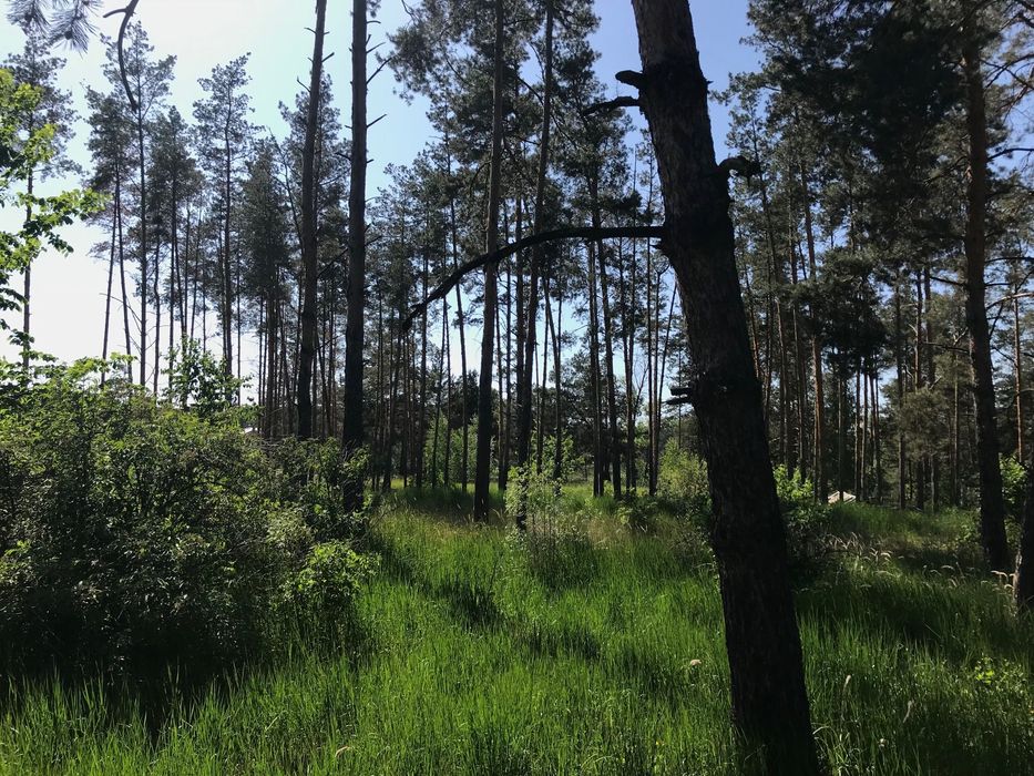 Продаж ділянки 37 соток з прямим виходом на воду, КМ Riviera Village