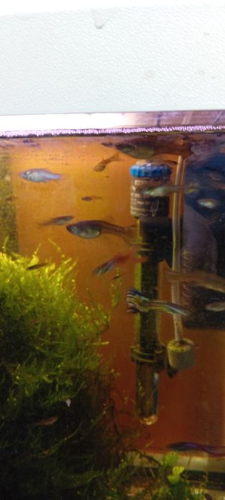 Akwarium  cały zestaw gotowe