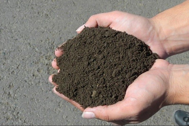 Czysta ziemia ogrodowa przesiewana 5 TON humus transport RYBNIK