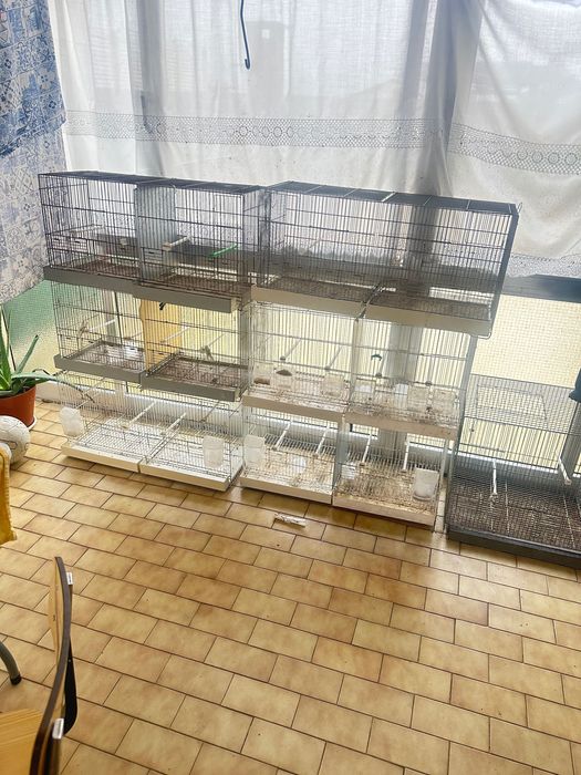 Gaiolas de 80 centímetros