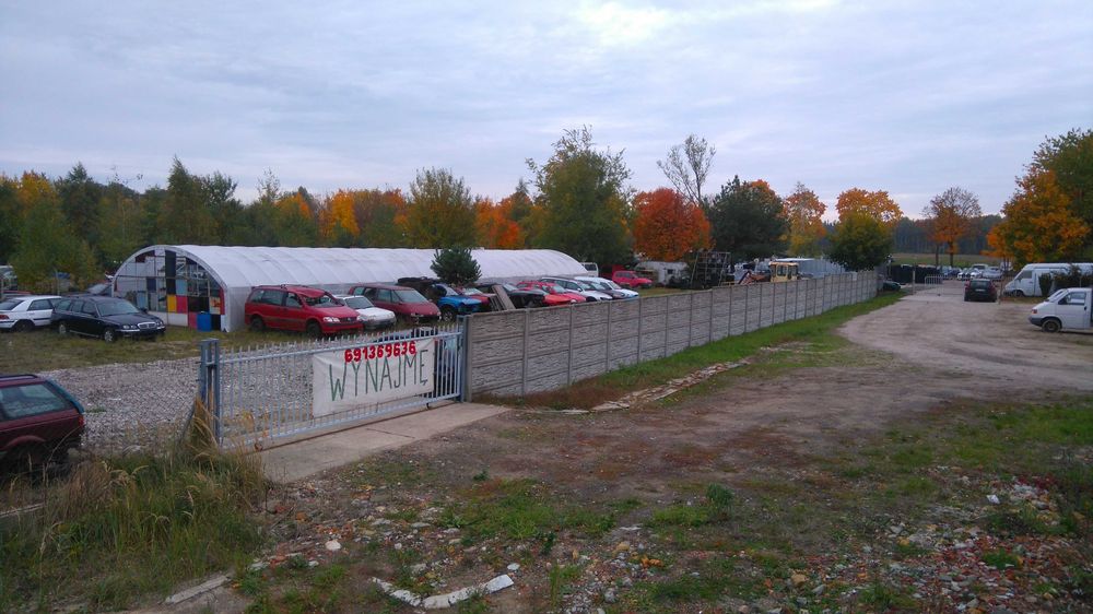 Do wynajęcia plac wraz z tunelem foliowym - Sieniawa Żarska