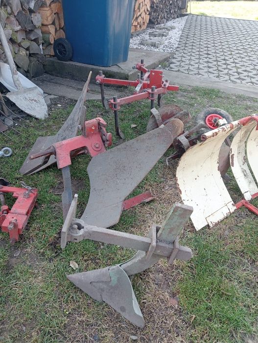 Traktorek dzik ogrodowy