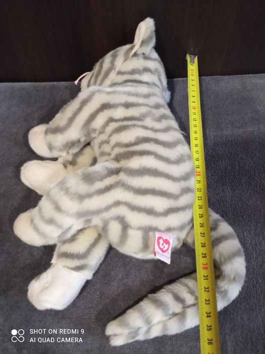 Кот, белая сова Хедвиг, собака