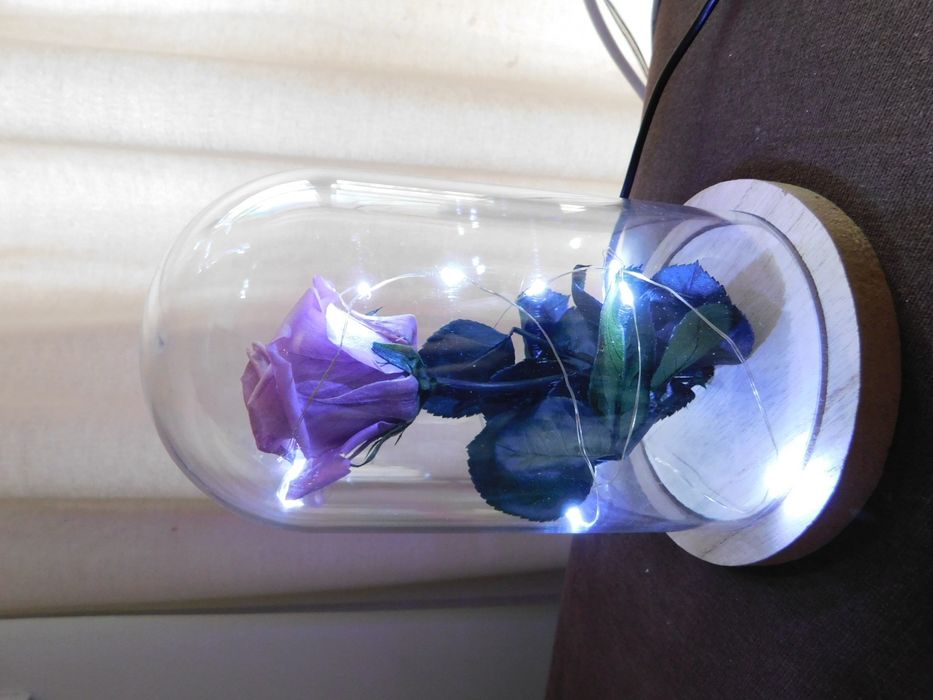 Rosa preservada com cúpula