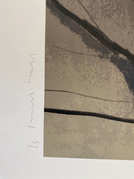 Serigrafia Graça Morais