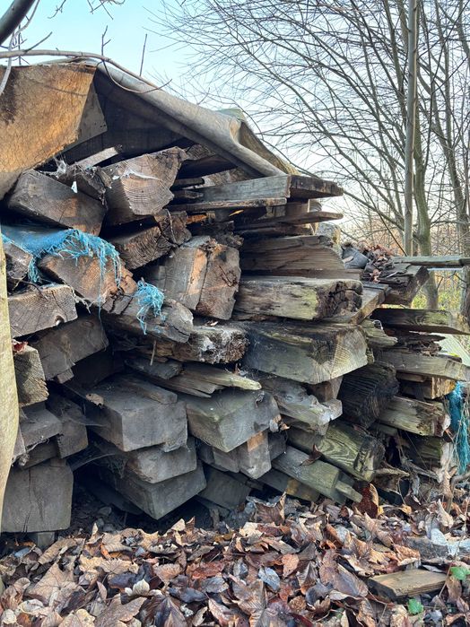 Belki stropowe 100-letnie