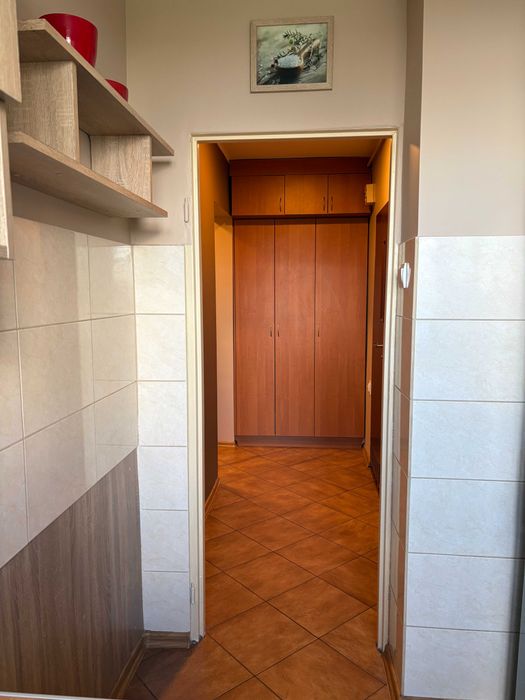 Mieszkanie – Gliwice, Śródmieście - Więcej