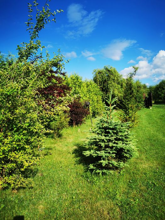 Domek letniskowy na Roztoczu Guciów - Letniczówka