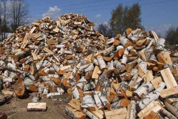 Drewno kominkowe do pieca opałowe drzewo brzoza dąb buk mix liściaste