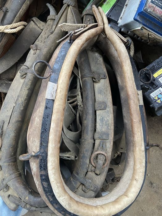 Vendo coleira de egua ta em bom estado sao das boas