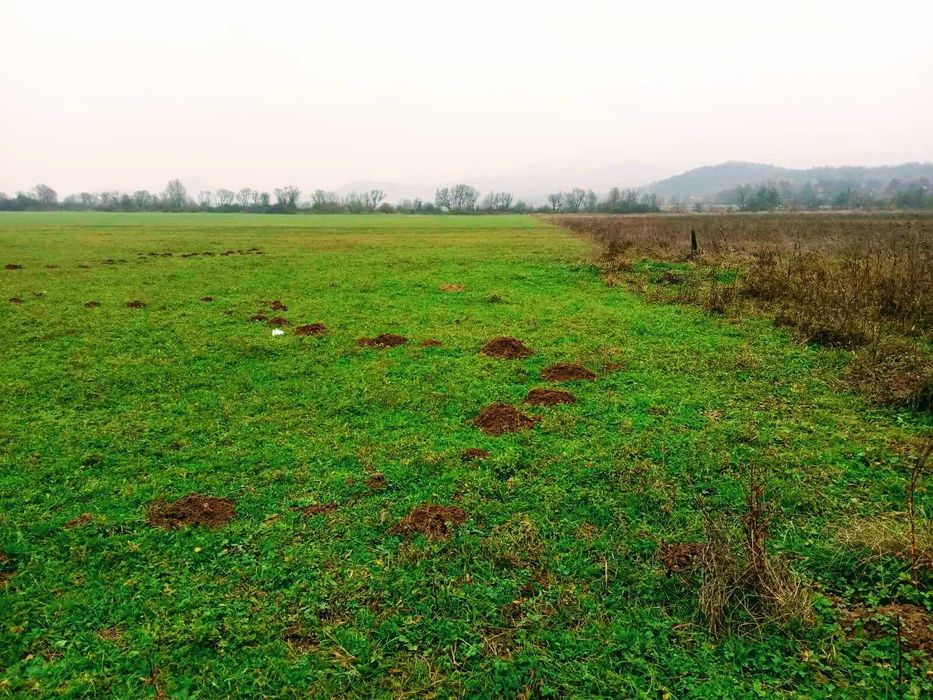 Земельный участок в с.Шаян,