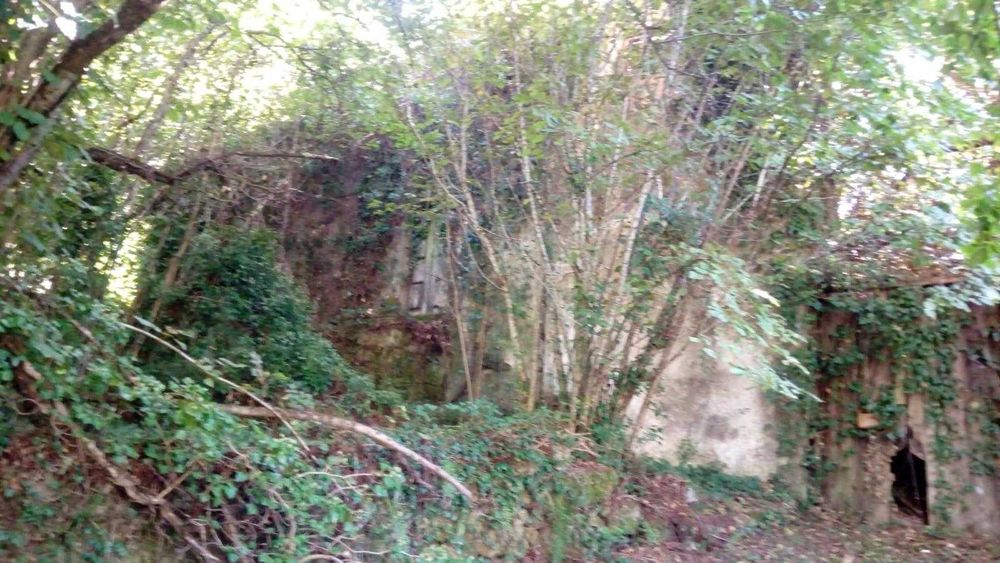 Quinta da Póvoa da Medronhosa, Repeses e São Salvador, Viseu