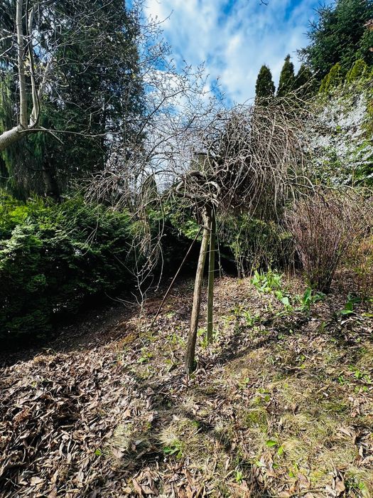 Sprzedam działkę ROD 373 m² – Warszawa Wola, ROD Im. Gen. Józefa Sowińskiego - Ansicht 4