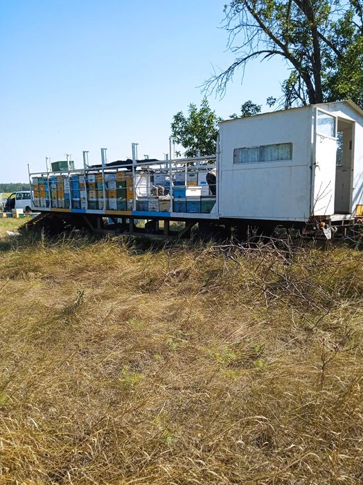 Бджоловіз бджолопавільон.