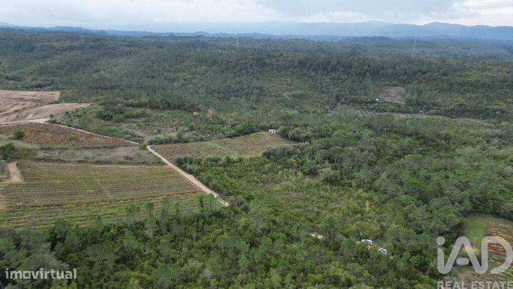 Terreno Agrícola em Condeixa-a-Velha e Condeixa-a-Nova