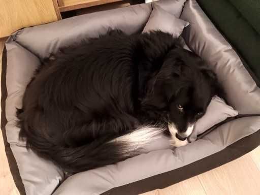 Legowisko dla Psa Kota – Wodoodporne Posłanie 75x65 cm NOWE