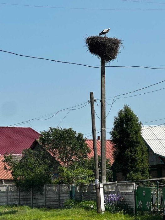 Продаж земельної ділянки, 16сот., 31.500