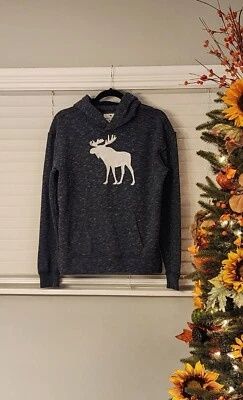 Abercrombie kids 15-16 худі