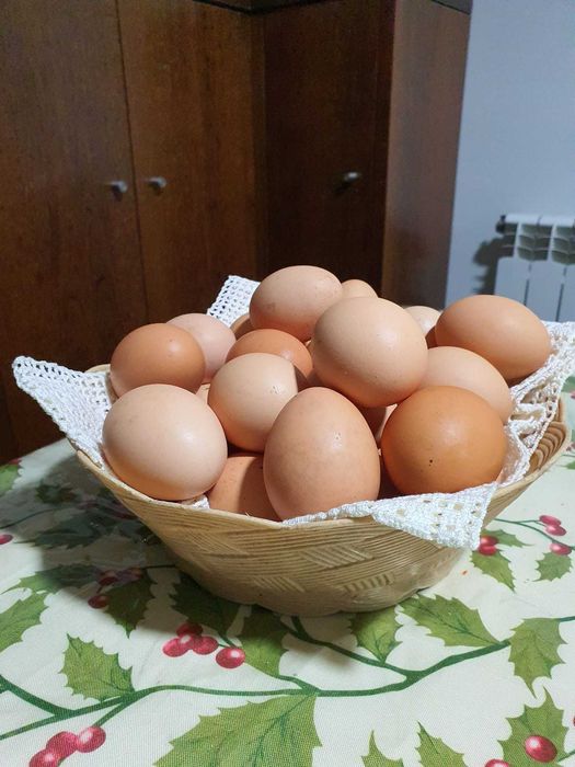Ovos Caseiros Frescos, Direto da Quinta.