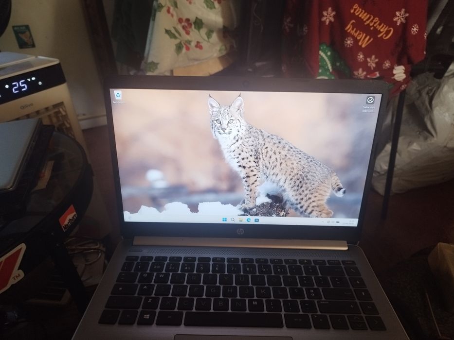 Notebook HP 245 G8