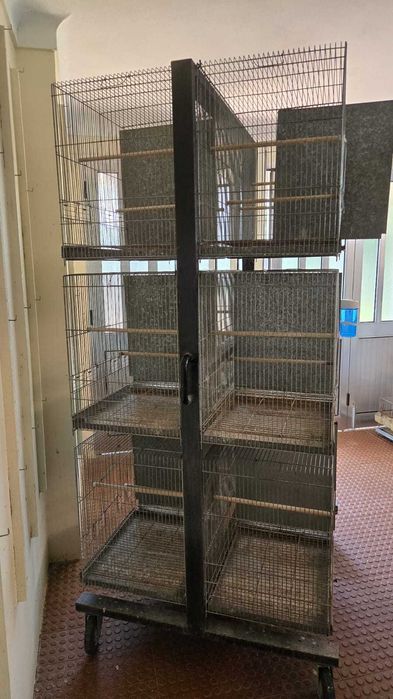 Armaçao em ferro para passaros