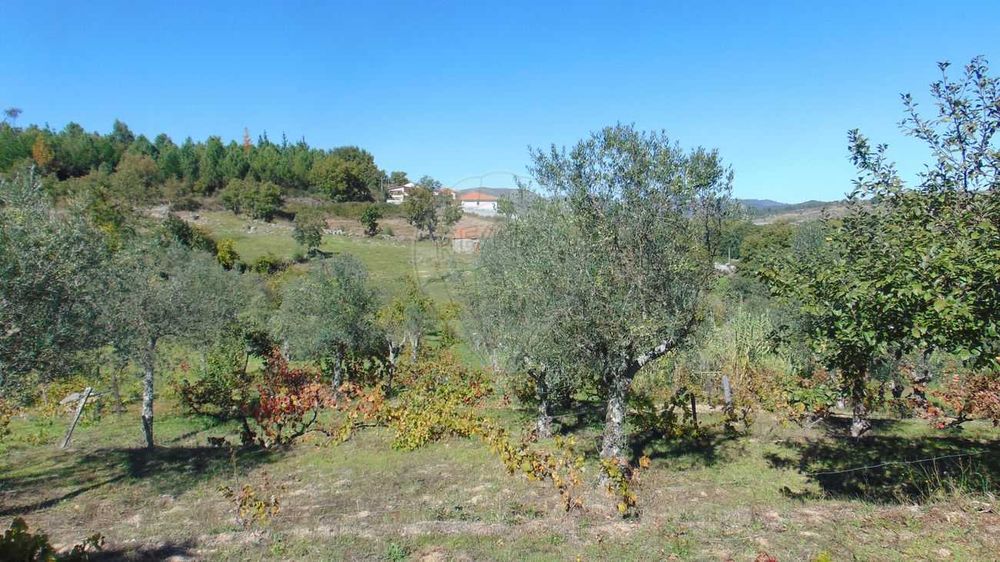 Venda: Quinta em Celorico da Beira/ Vila Boa Do Mondego