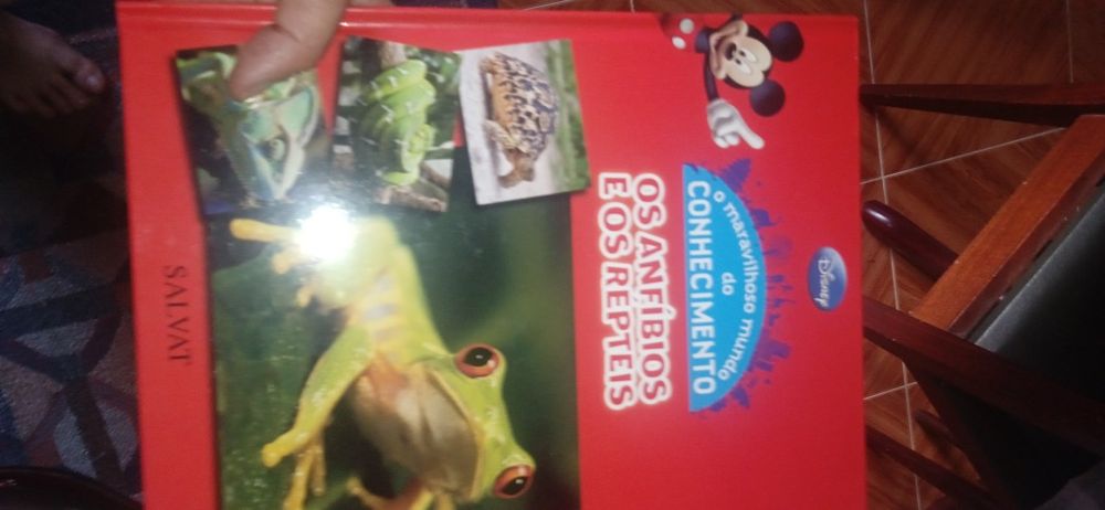 Coleção de 25 livros infantis da Disney