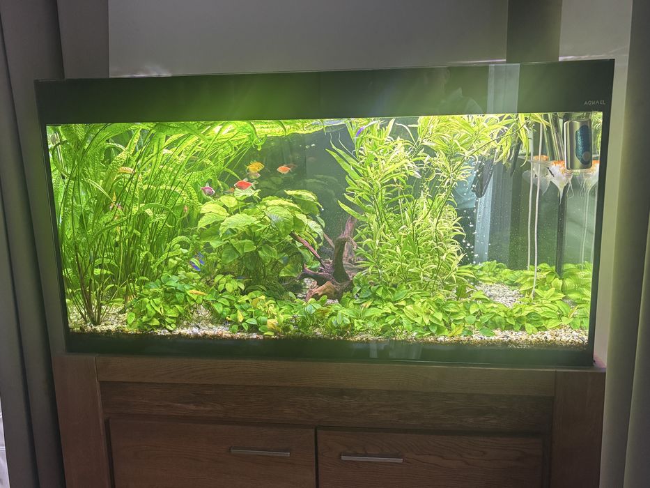 Sprzedam akwarium