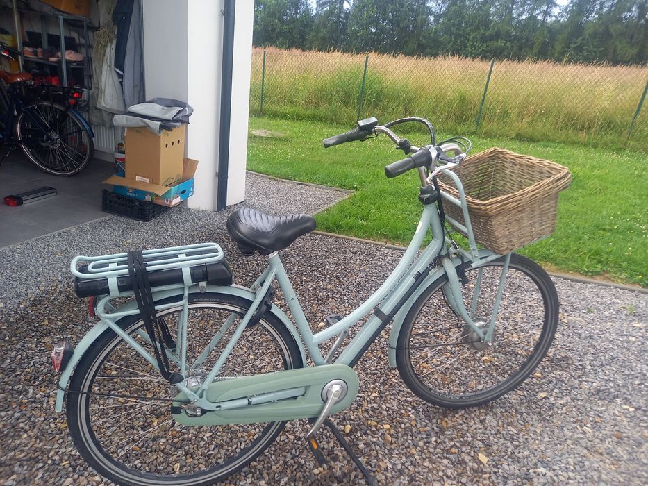 Rower elektryczny batavius cargo