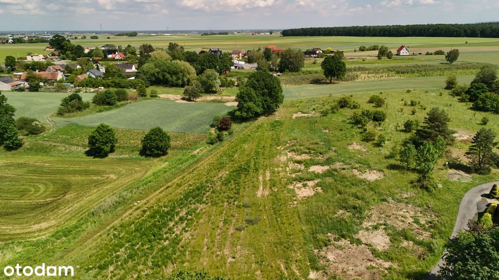 Działki budowlane w Prószkowie