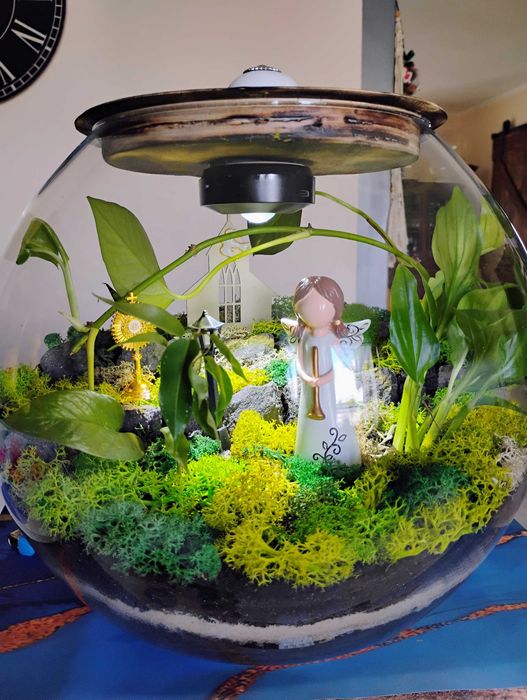 Las w szkle na prezent