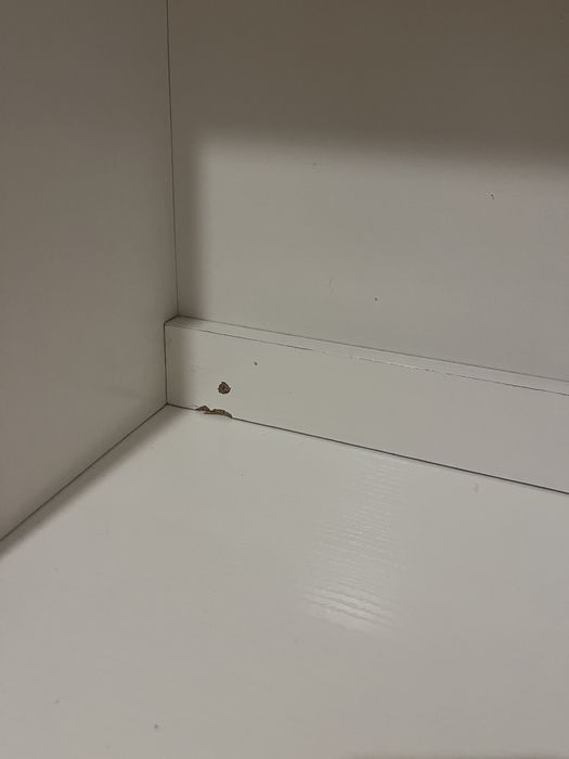 Secretaria criança - conjunto