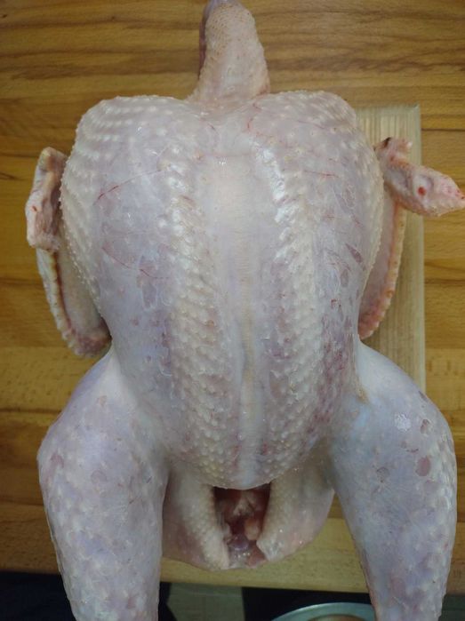 індики продам живою вагою чи тушками