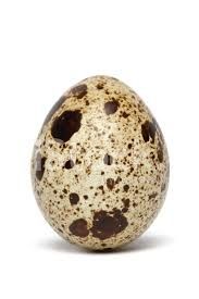 Інкубаційне яйце