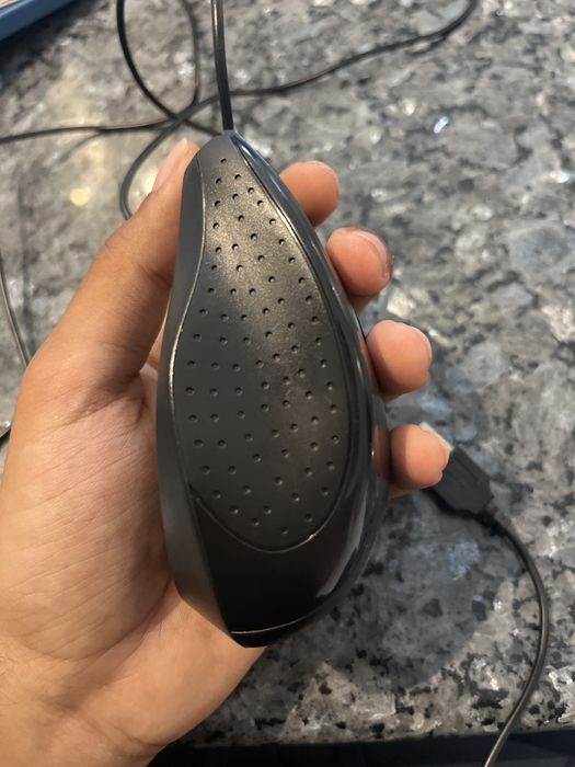 Mouse with cable