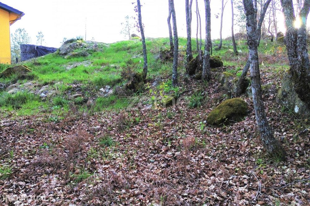 Terreno em Vale Do Bacelo - Almargem 1376m2